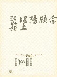 楚昭阳顾念在冰箱上