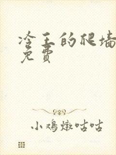 冷王的爬墙丑妃免费