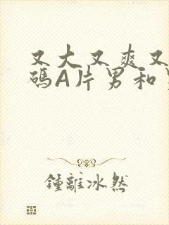 又大又爽又黄无码A片男和男