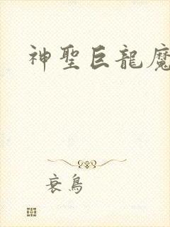 神圣巨龙魔法师