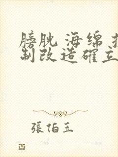 膀胱 海绵 控制改造确立m