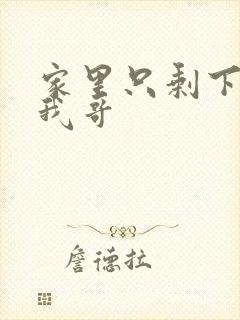 家里只剩下我和我哥