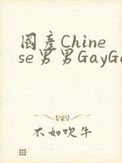 国产Chinese男男GayGayAPP