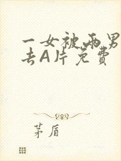 一女被两男桶进去A片免费