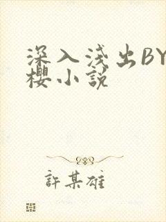 深入浅出BY胖樱小说