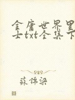 金庸世界里的道士txt全集下载