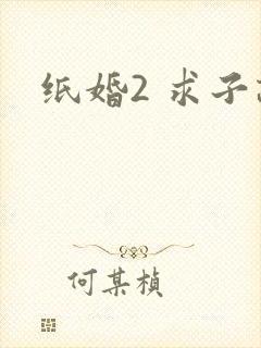 纸婚2 求子记