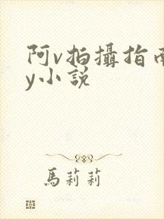 阿v拍摄指南by小说