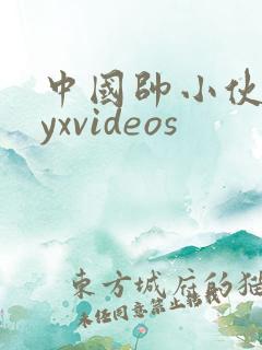 中国帅小伙gayxvideos
