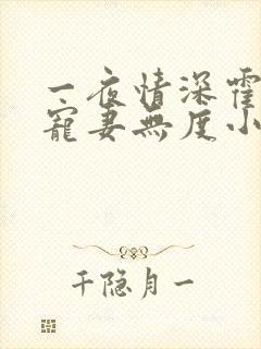 一夜情深霍先生宠妻无度小说免费阅读