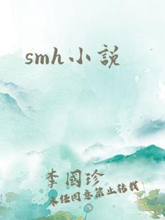 smh小说