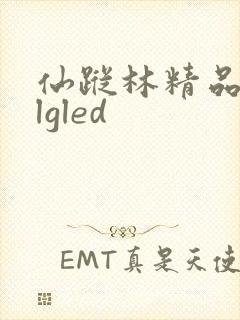 仙踪林精品zzlgled