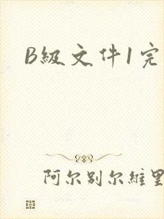 B级文件1完整