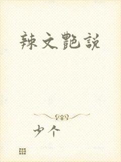 辣文艳说