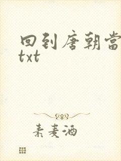 回到唐朝当皇帝txt