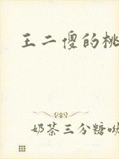 王二傻的桃花运
