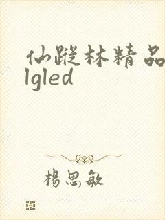 仙踪林精品zzlgled
