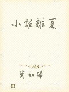 小说离夏