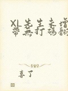 XL先生未增删带无打码翻译