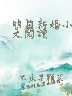 明日新婚小说全文阅读