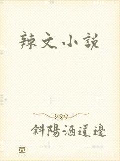 辣文小说