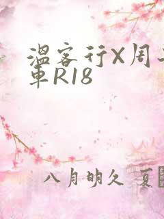 温客行X周子舒车R18