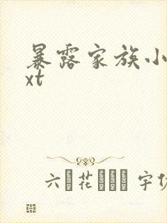 暴露家族小说txt