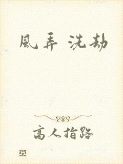 风弄 洗劫