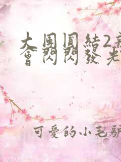 大团圆结2亲情会闪闪发光亲情会2