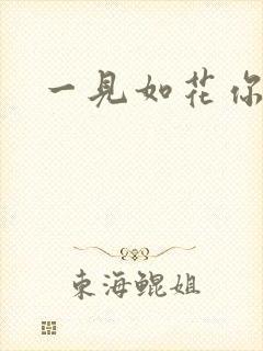 一见如花你就笑