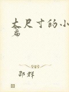 大尺寸的小说短篇