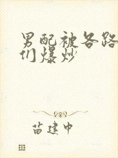 男配被各路大佬们爆炒