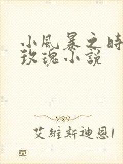 小风暴之时间的玫瑰小说