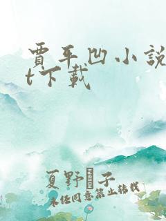 贾平凹小说txt下载