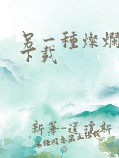 另一种灿烂生活下载