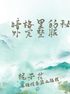 暗格里的秘密番外完整版