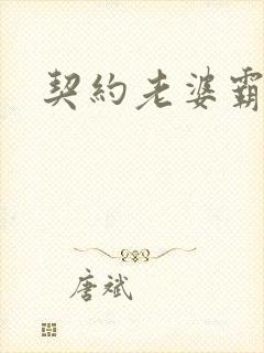 契约老婆霸总裁