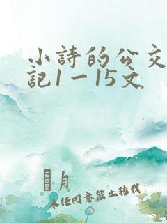 小诗的公交车日记1一15文