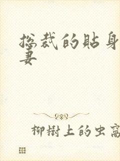 总裁的贴身下堂妻