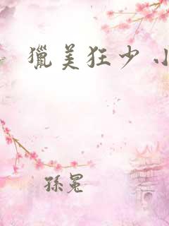 猎美狂少 小说