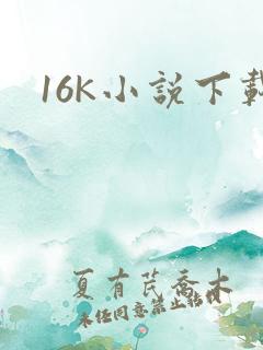 16K小说下载