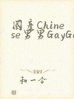 国产Chinese男男GayGayAPP