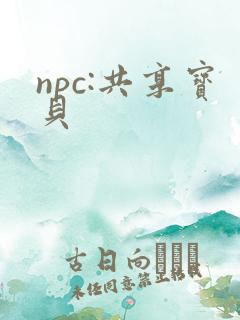 npc:共享宝贝