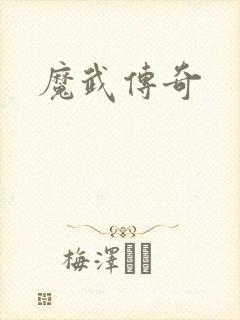 魔武传奇