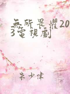 无所畏惧2023电视剧