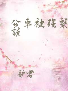 公车被强系列小说