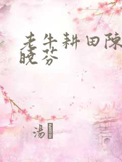 老牛耕田陈雪杨晓芬