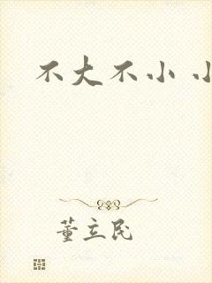 不大不小 小说