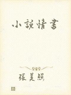 小说情书