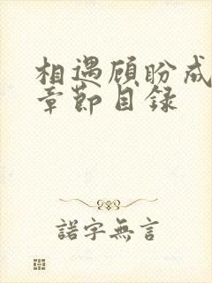 相遇顾盼成欢全章节目录